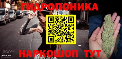 сатива Тара
