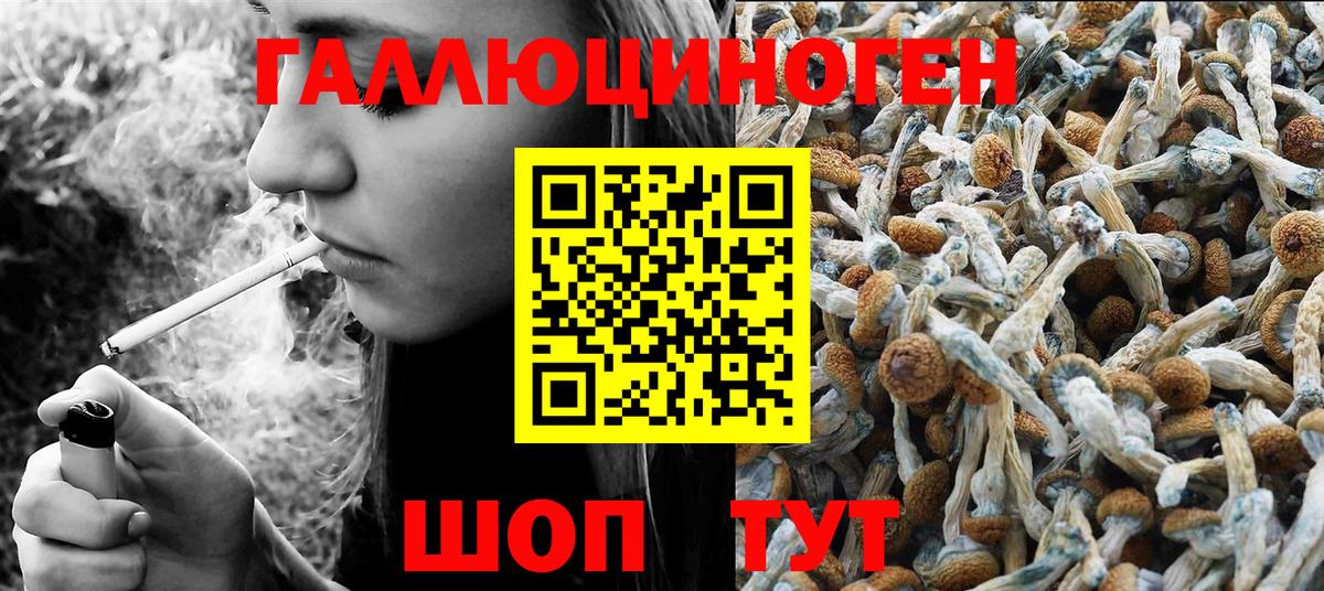 Псилоцибиновые грибы ЛСД Новотроицк