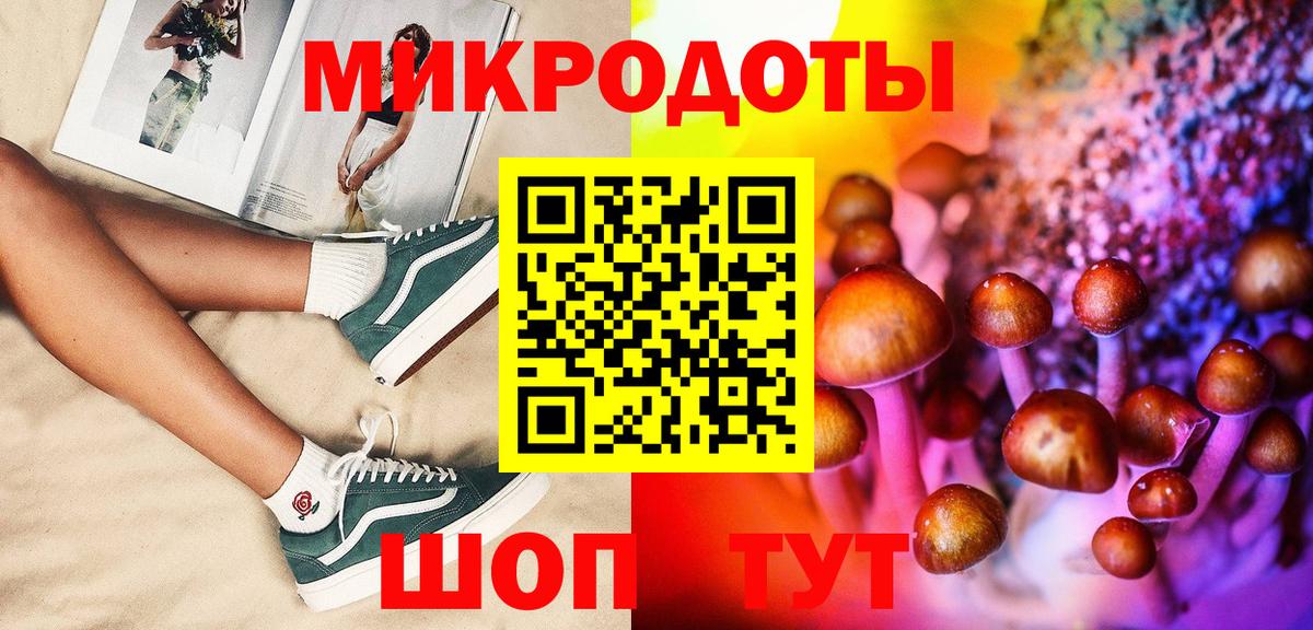Псилоцибиновые грибы Psilocybine cubensis  Вход с VPN  купить наркотики цена  Новотроицк 
